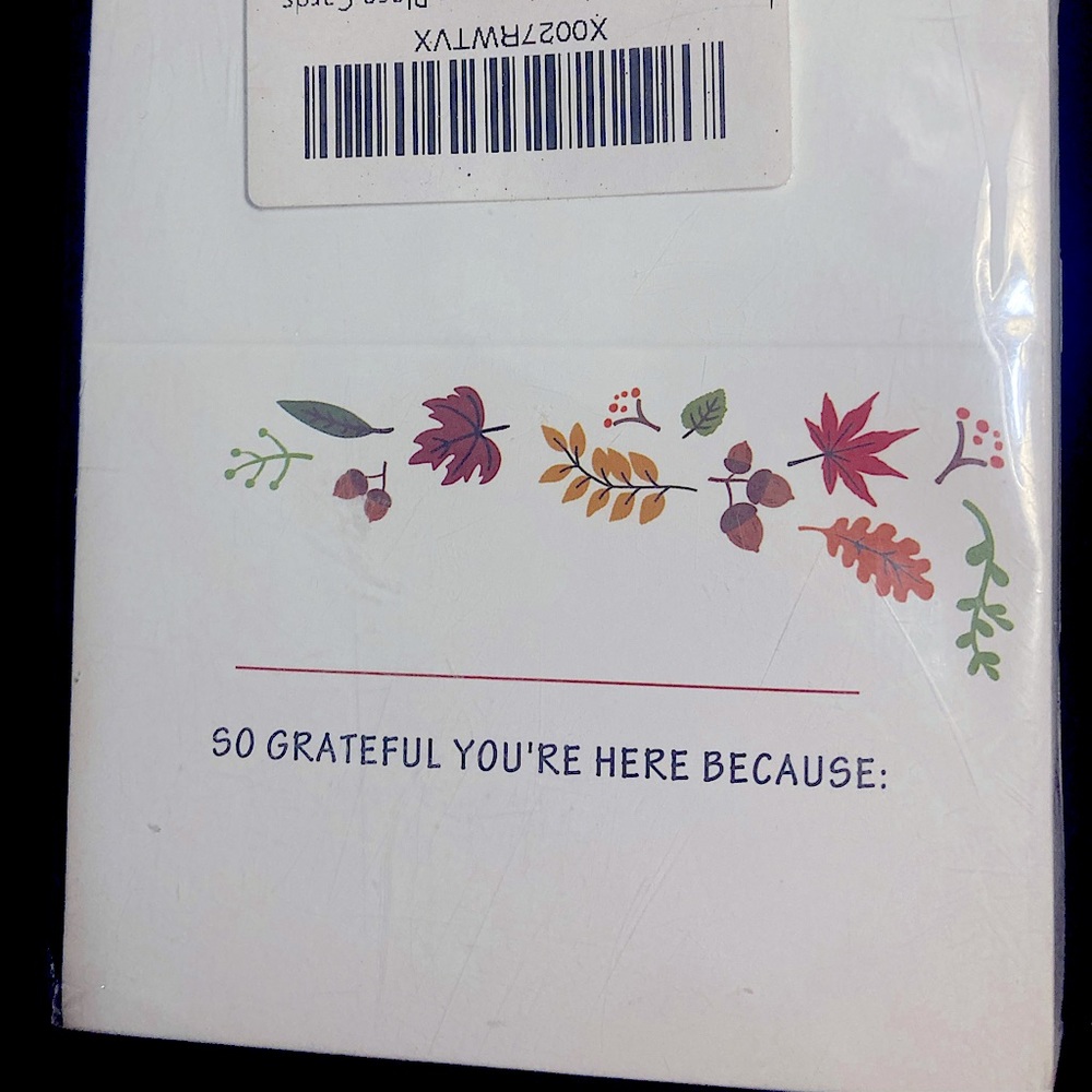Supla Fall Themed Place Cards (100)